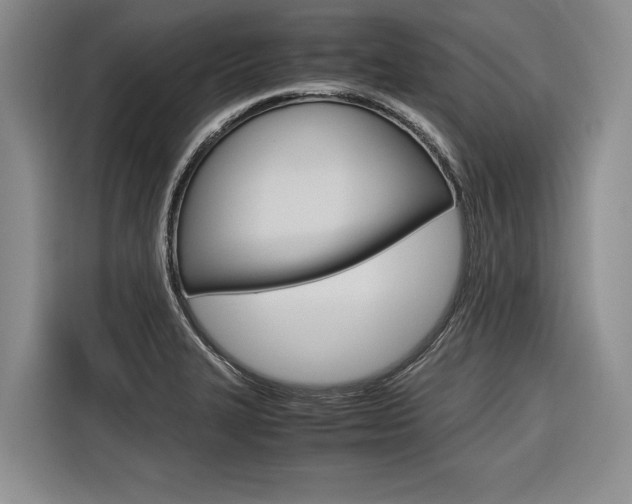 X0000116561327200912100935