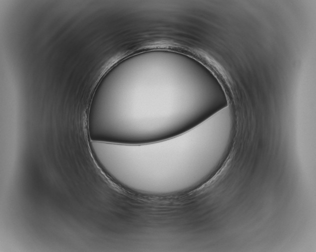 X0000116561329200912100936