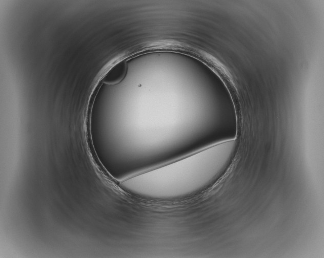 X0000116561330200912100936