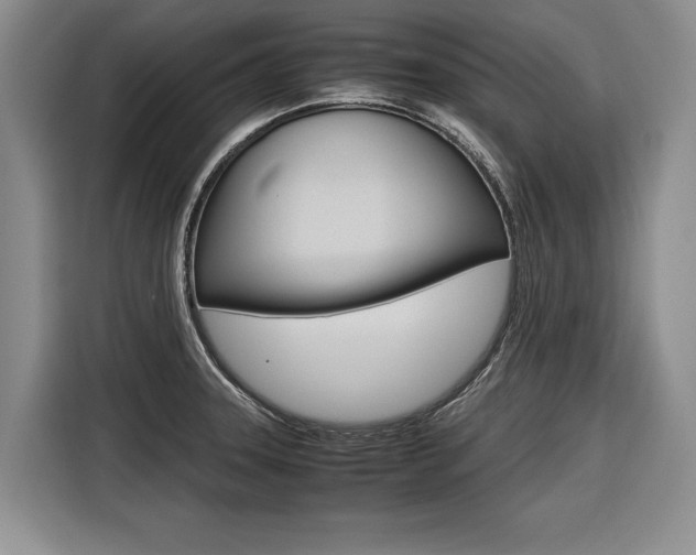X0000116561331200912100936