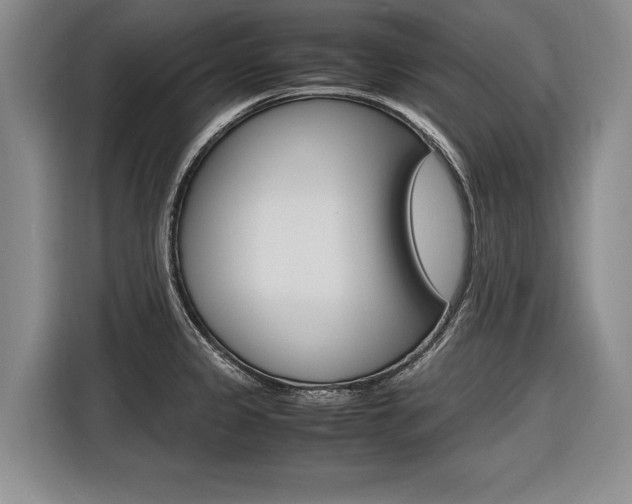 X0000116561333200912100936