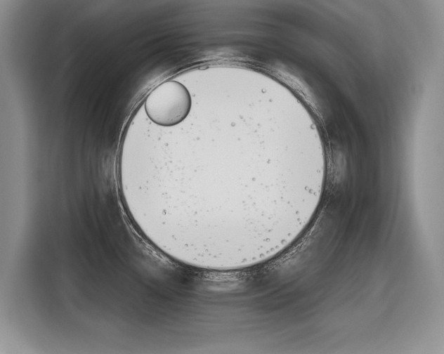 X0000116561338200912100936