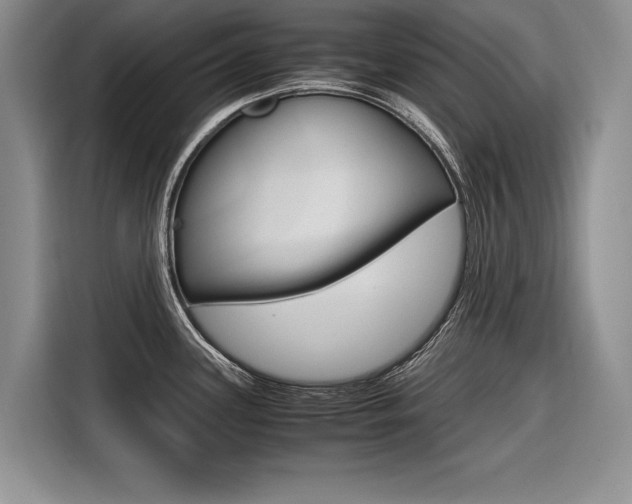 X0000116561339200912100936