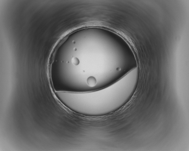 X0000116561342200912100936