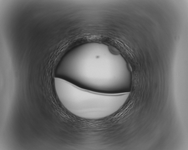 X0000116561345200912100935