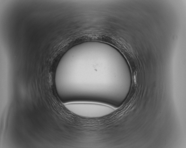 X0000116561347200912100935