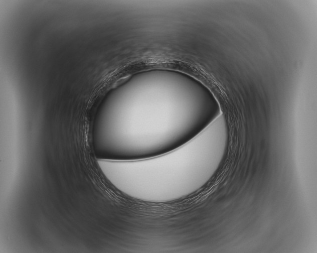 X0000116561348200912100935