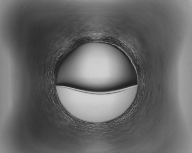 X0000116561349200912100935
