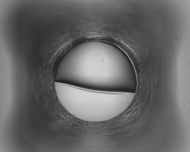 X0000116561351200912100935