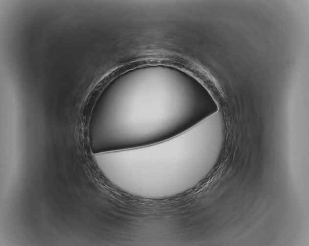 X0000116561352200912100935