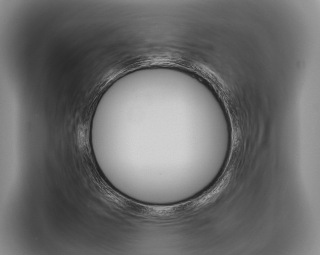 X0000116561353200912100935