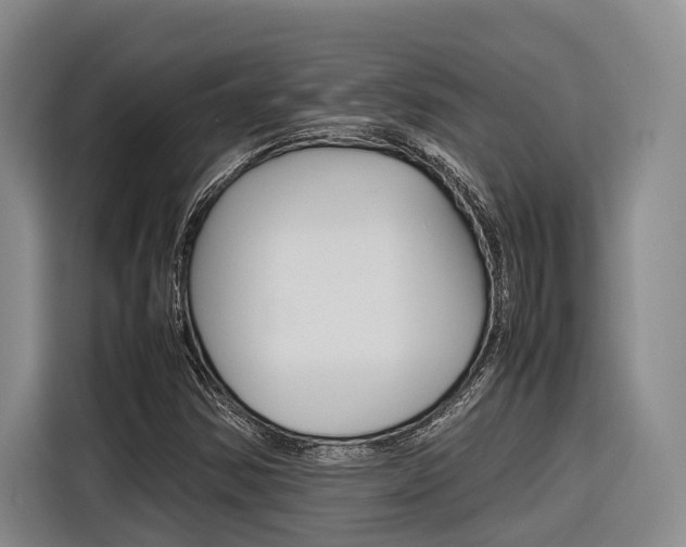X0000116561354200912100935
