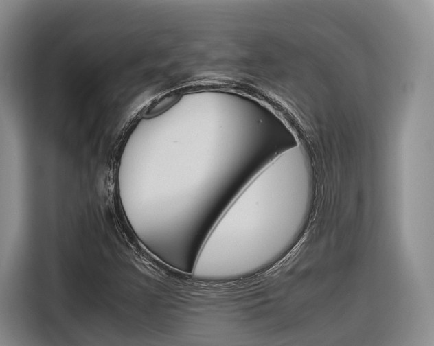 X0000116561355200912100935