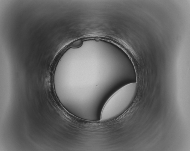 X0000116561356200912100935