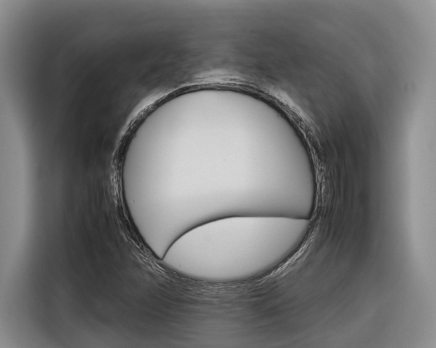 X0000116561358200912100935
