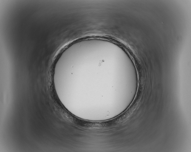X0000116561359200912100935