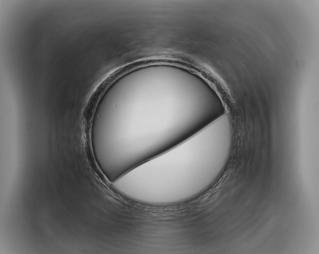 X0000116561360200912100935