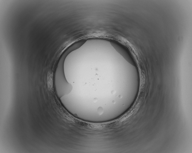 X0000116561361200912100935