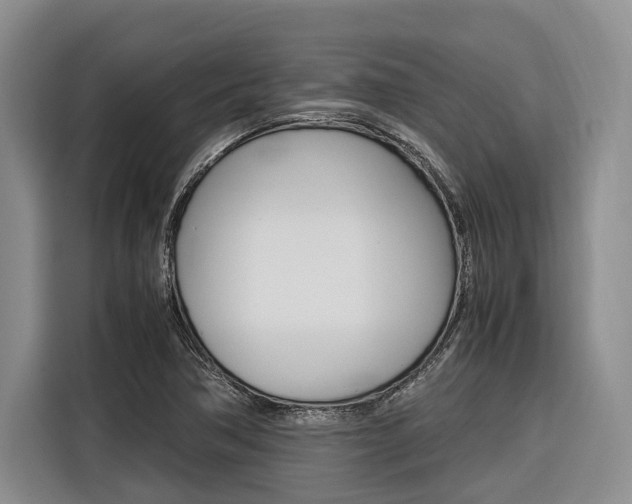 X0000116561362200912100935