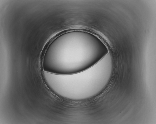 X0000116561364200912100935