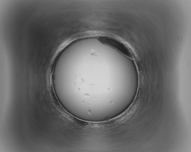 X0000116561365200912100935