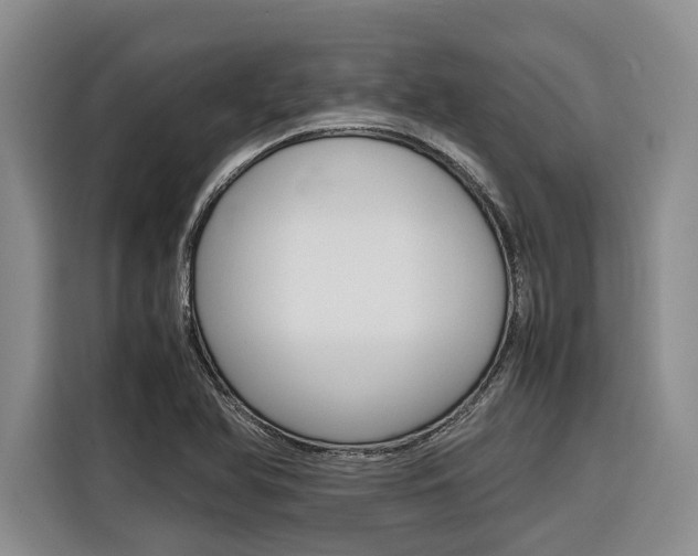 X0000116561366200912100935