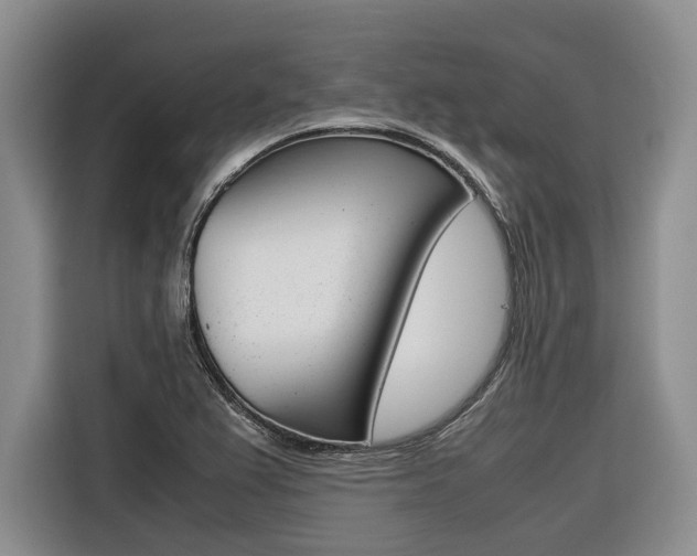 X0000116561367200912100935