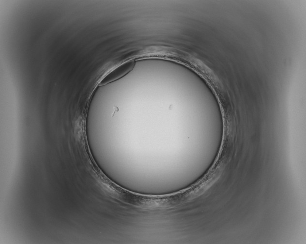 X0000116561369200912100935