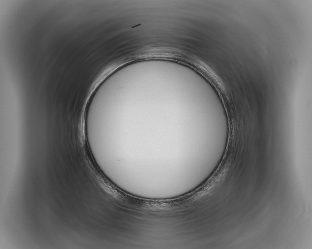X0000116561370200912100935