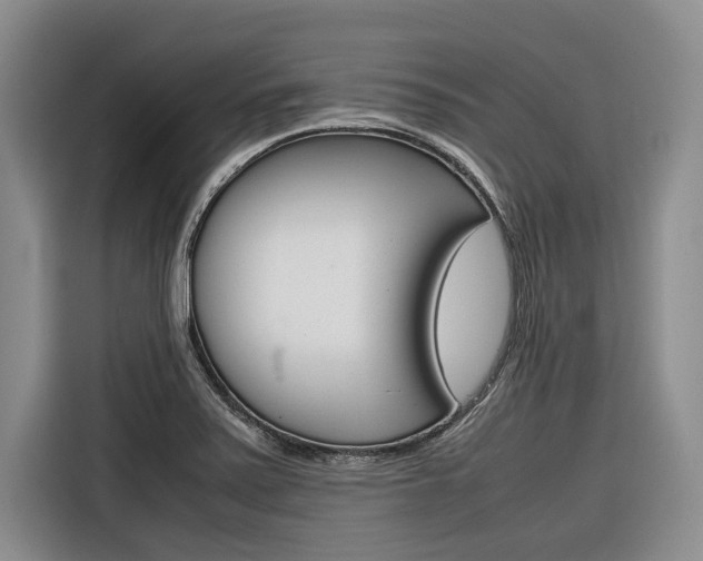 X0000116561371200912100935