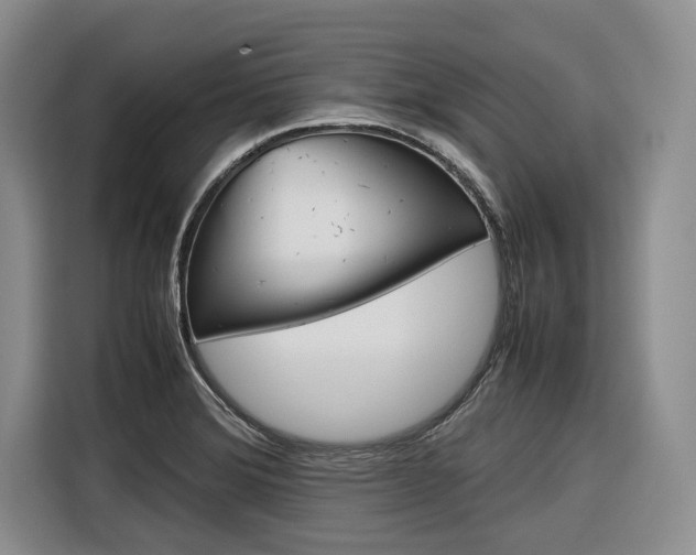 X0000116561372200912100935