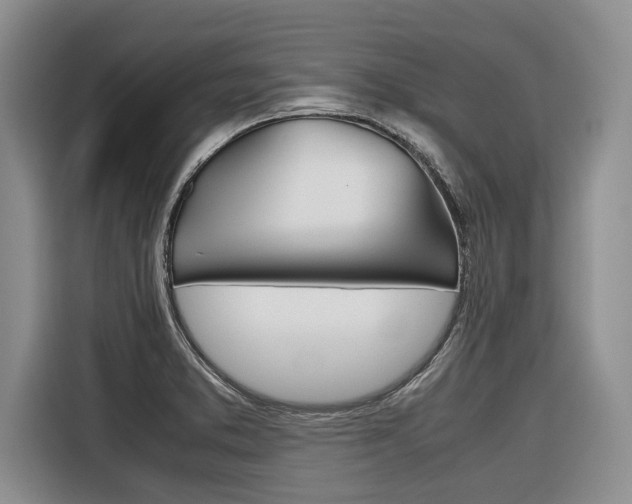 X0000116561373200912100935