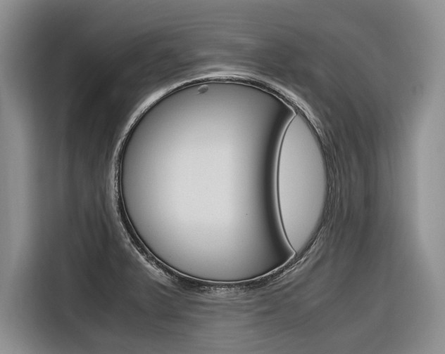 X0000116561375200912100935