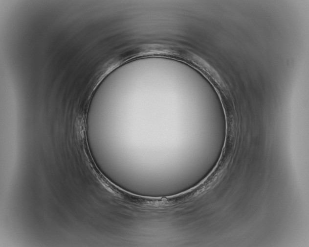 X0000116561377200912100935
