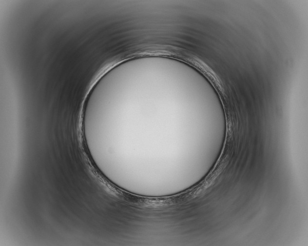 X0000116561378200912100935