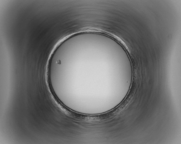 X0000116561379200912100935