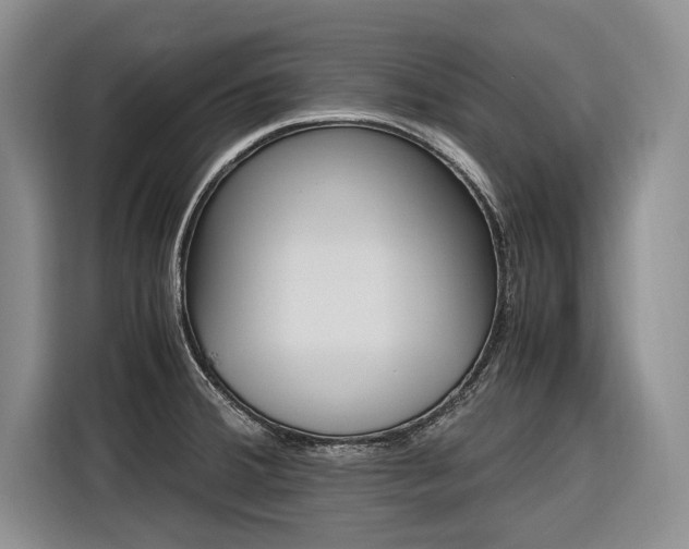 X0000116561380200912100935