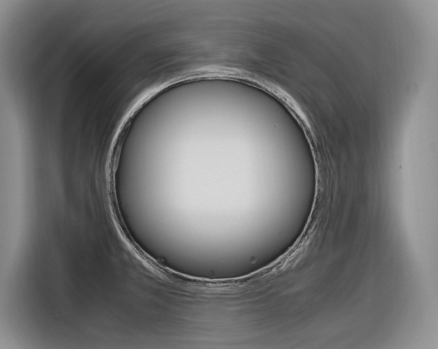 X0000116561381200912100935