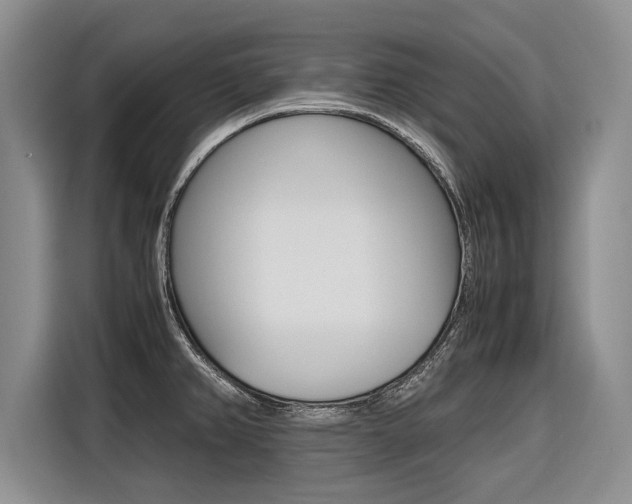 X0000116561382200912100935