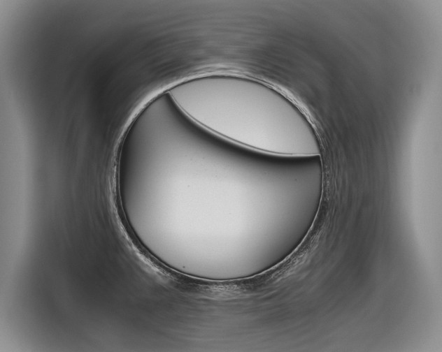 X0000116561383200912100935