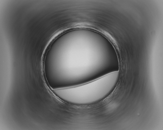 X0000116561384200912100935