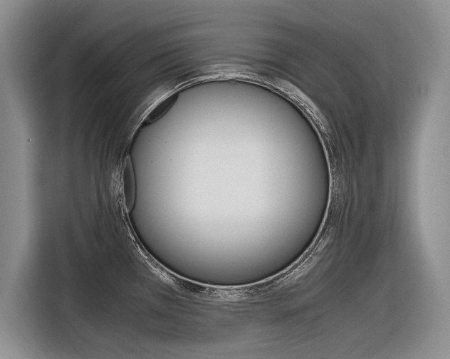 X0000116561385200912100935