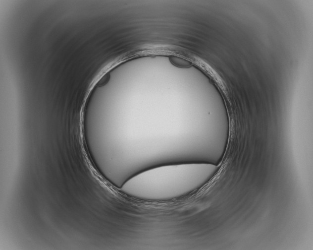 X0000116561386200912100935
