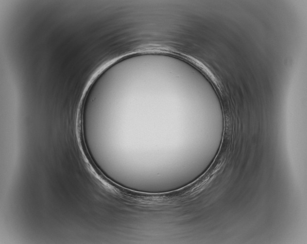 X0000116561387200912100935