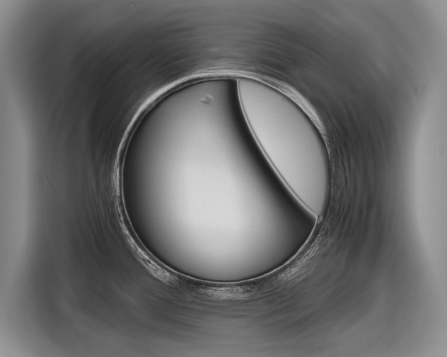 X0000116561388200912100935