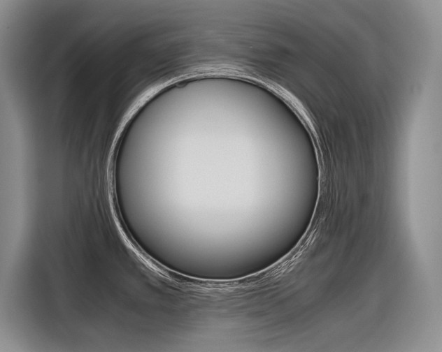 X0000116561389200912100935