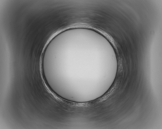 X0000116561390200912100935
