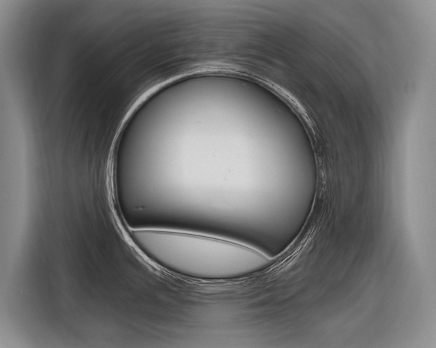 X0000116561391200912100934