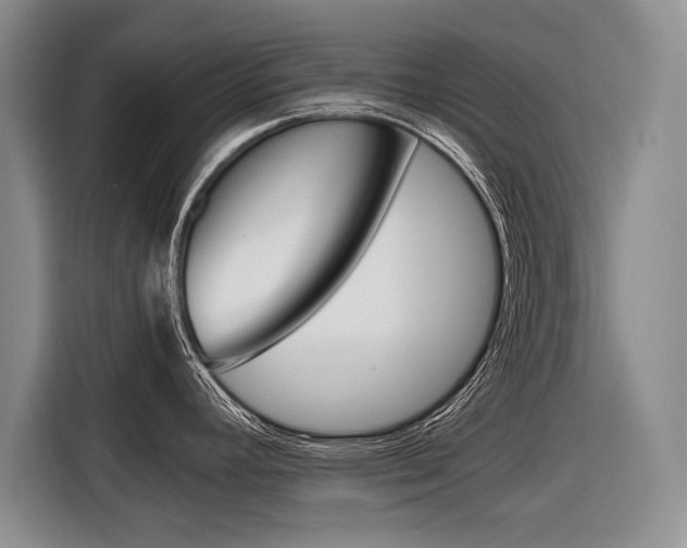 X0000116561392200912100934
