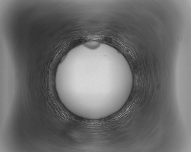 X0000116561393200912100934